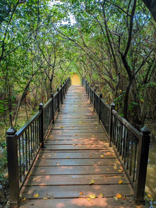 Parco Umido di Beddagana in Sri Jayawardenepura Kotte — Parco