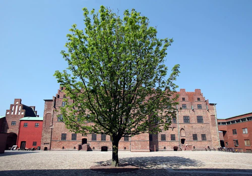 Малмьо замък in Малмьо — Castle