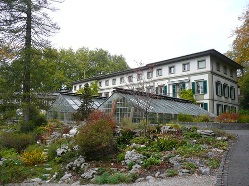 Botanical Garden of University of Bern in Bern — Garden