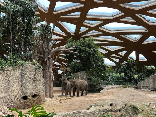Zoo Zürich in Zurich — Zoo