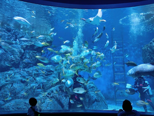 SEA LIFE Bangkok Ocean World — Aquarium, rated 4.5/5