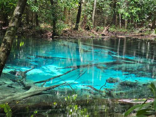 Emerald Pool — ল্যান্ডমার্ক, rated 4.3/5