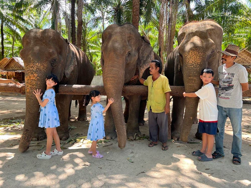 Krabi Elephant Shelter, rated 4.6/5
