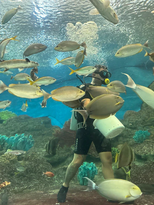 Underwater World Pattaya — Aquarium, rated 3.9/5