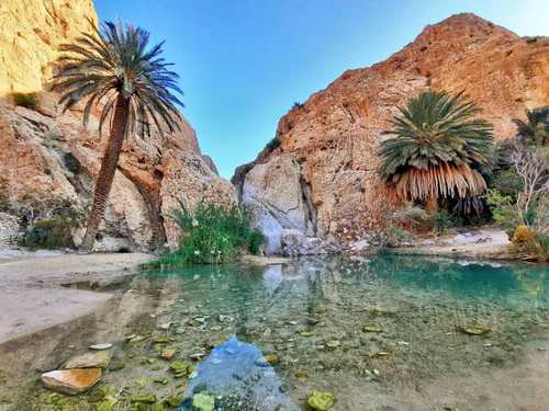 Chebika Oasis in Tunis