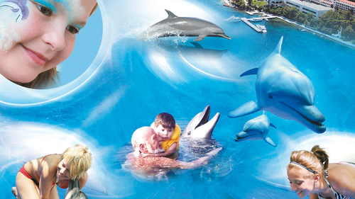 Dolphin-Park / Dolphin Therapy and Fun Center in Marmaris in Marmaris — Aquarium