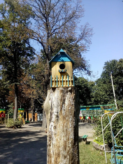 Park Im. Yu. Fedʹkovycha, Tsentr Dozvillya Dlya Ditey Ta Yunatstva — পার্ক, rated 4.3/5
