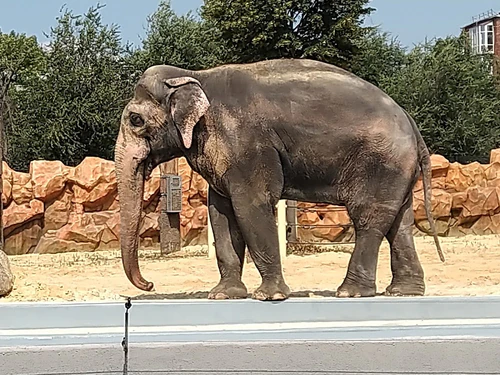 Kharkiv Zoo — Zoo, rated 4.6/5