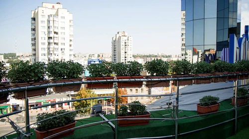 ليوبيد - بلازا — Lodging, rated 4.2/5