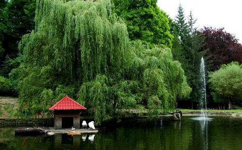 Stryiskyi Park — পার্ক, rated 4.7/5