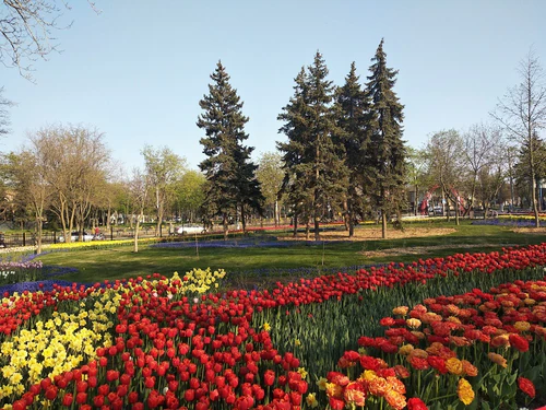 park Veselka — Park, rated 4.7/5