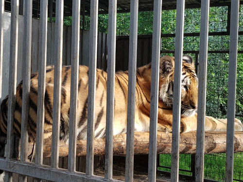 Zoopark — Zoo, rated 4.1/5