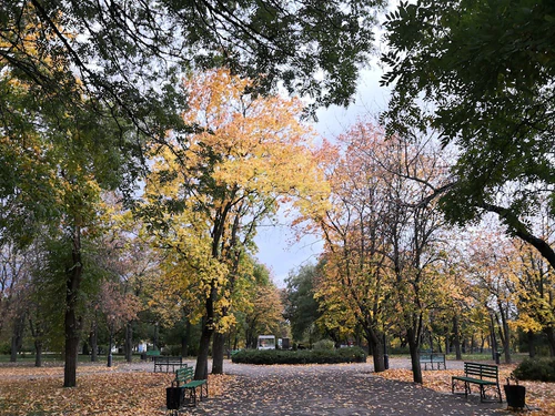 Park Narodnyi sad — পার্ক, rated 4.2/5