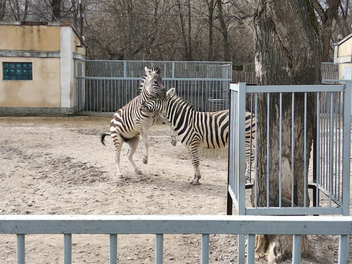 Odessa zoološki vrt — Zoo, rated 4.1/5