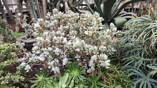 Jardín Botánico de la Universidad Pedagógica Nacional de Poltava — Jardín, rated 4.2/5