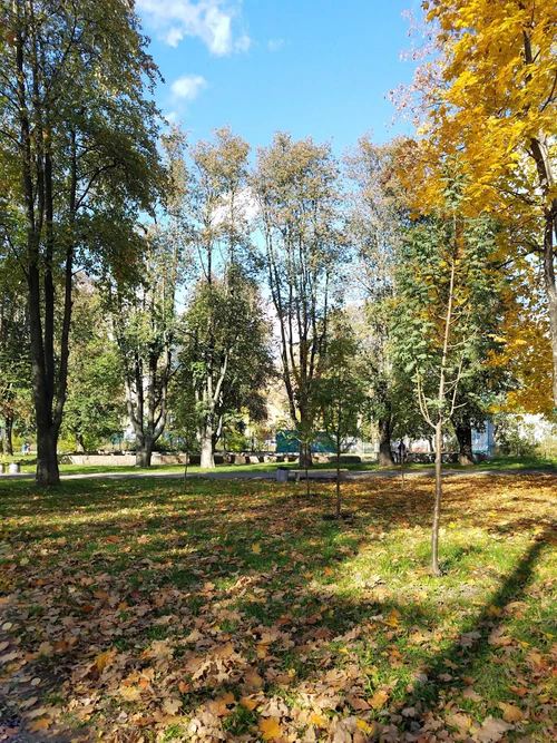 Parque Pavlenky — Parque, rated 4.1/5