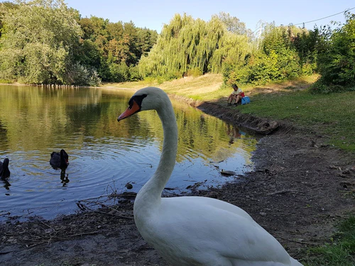 Parque de la Ciudad de Poltava — Parque, rated 4.5/5