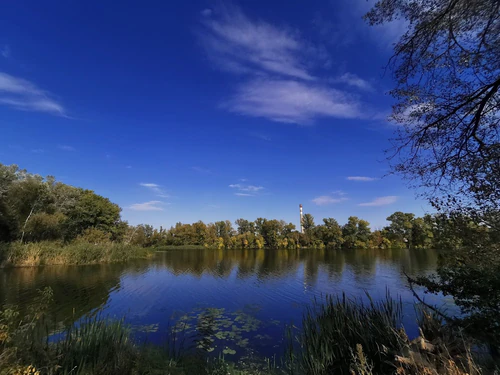 Parque Fluvial — Parque, rated 4.2/5