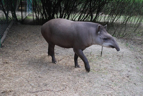 Rivne Zoo — Zoo, rated 4.7/5