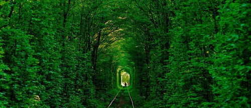 Tunnel of Love, rated 4.4/5