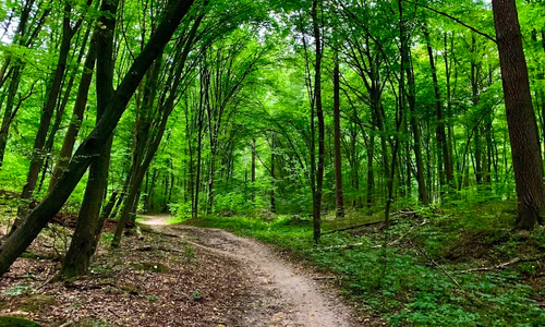 Parco Naturale Nazionale Holosiivskyi — Parco nazionale, rated 4.6/5