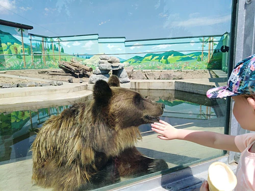 Podilʹsʹkyy Zoopark — Zoo, rated 4.5/5