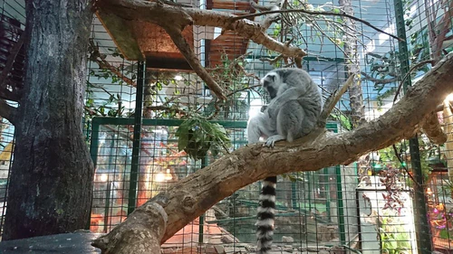 Tropikpark — Zoo, rated 4.3/5
