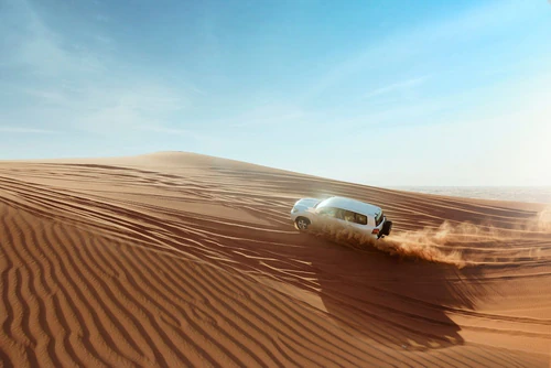 Abu Dhabi Desert Safari — ল্যান্ডমার্ক, rated 4.8/5