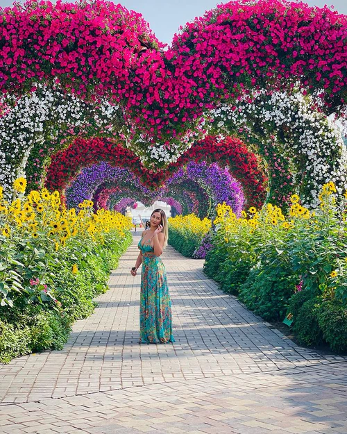 Dubai Miracle Garden in Dubai — Tuin