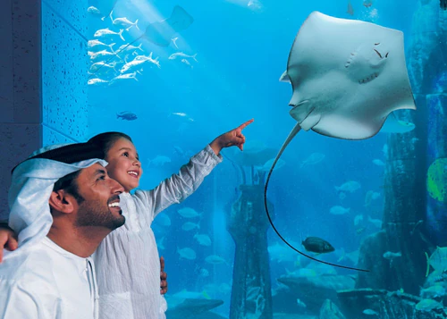 L’Acquario del Mondo Perduto ad Aquaventure World — Aquarium, rated 4.5/5