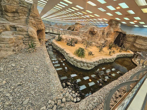 Sharjah Desert Park — পার্ক, rated 4.6/5