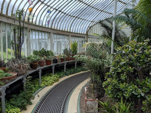 Botanic Gardens in বেলফাস্ট — বাগান