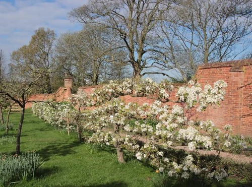 Castle Bromwich Historic Gardens — Historic site, rated 4.6/5