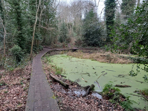 Moseley Bog — Park, rated 4.6/5