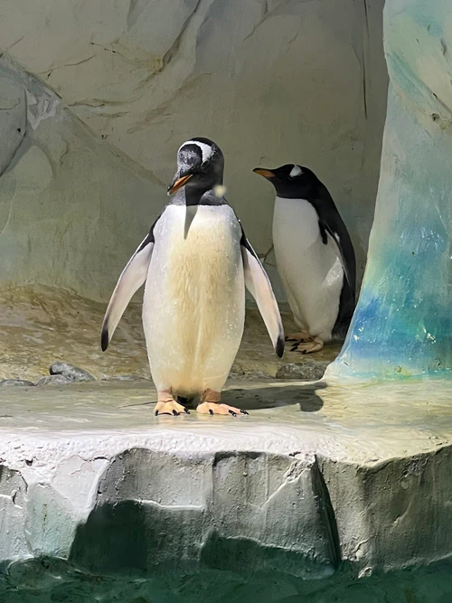 National SEA LIFE Centre Birmingham — Aquarium, rated 4.2/5