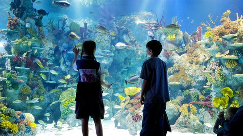 Bristol Aquarium — Aquarium, rated 4.2/5