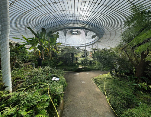 Glasgow Botanic Gardens in Glasgow — Tuin