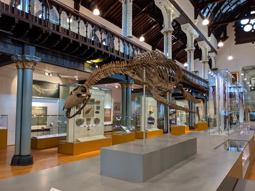 Hunterian Art Gallery — Muzej, rated 4.6/5