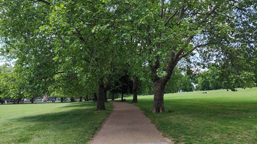 Spinney Hill Park — Park, rated 4.3/5