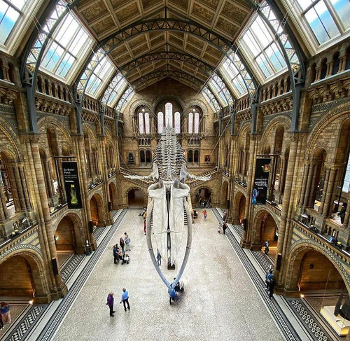 Natural History Museum — Research institute, rated 4.6/5