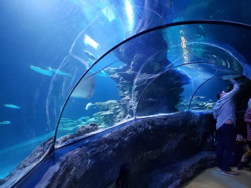 SEA LIFE London Aquarium — Aquarium, rated 4.3/5