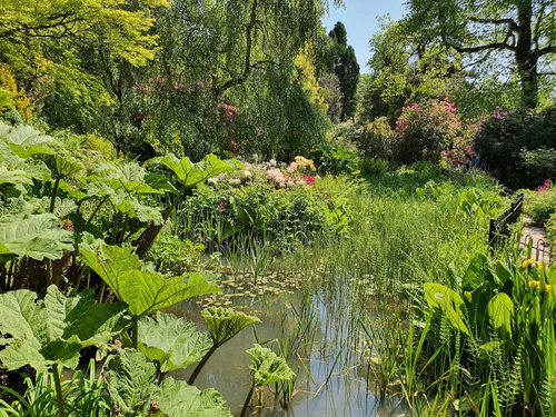 Fletcher Moss Botanical Gardens in ম্যানচেস্টার — পার্ক