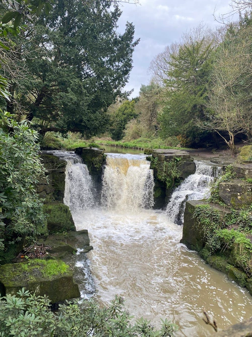 Jesmond Dene Falls — Historic site, rated 4.8/5