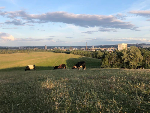 Town Moor — Park, rated 4.5/5