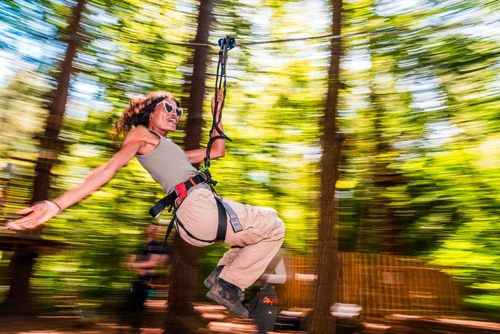 Go Ape Southampton, rated 4.7/5