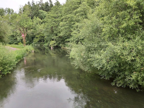 Itchen Valley Country Park — Natural wonder, rated 4.5/5