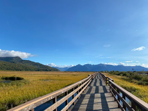 Šetnica promatranja ptica Potter Marsh Wildlife Viewing Boardwalk in Anchorage — Park