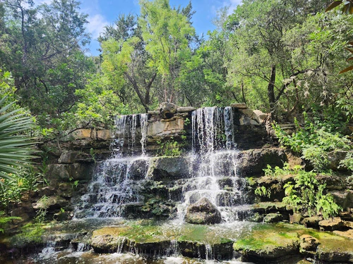 Zilker Botanical Garden — ბაღი, rated 4.6/5