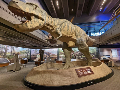 Museum of Science — মিউজিয়াম, rated 4.7/5