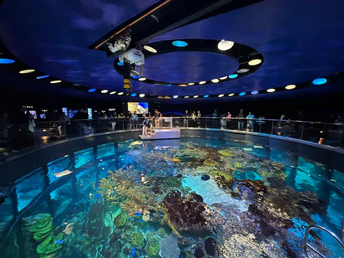 New England Aquarium — Aquarium, rated 4.4/5
